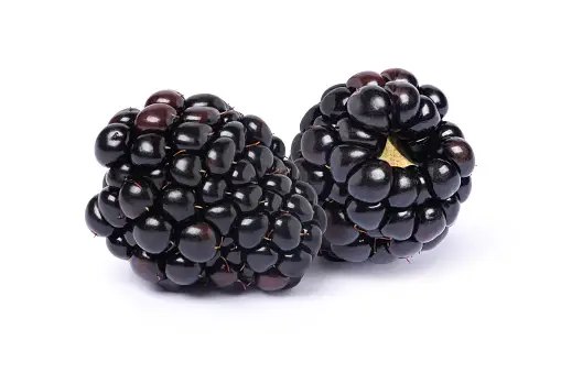 Blackberries