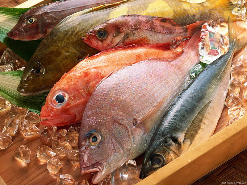 HD wallpaper culinary best quality mixed fish graphy food fish mixed fish comestible culinary