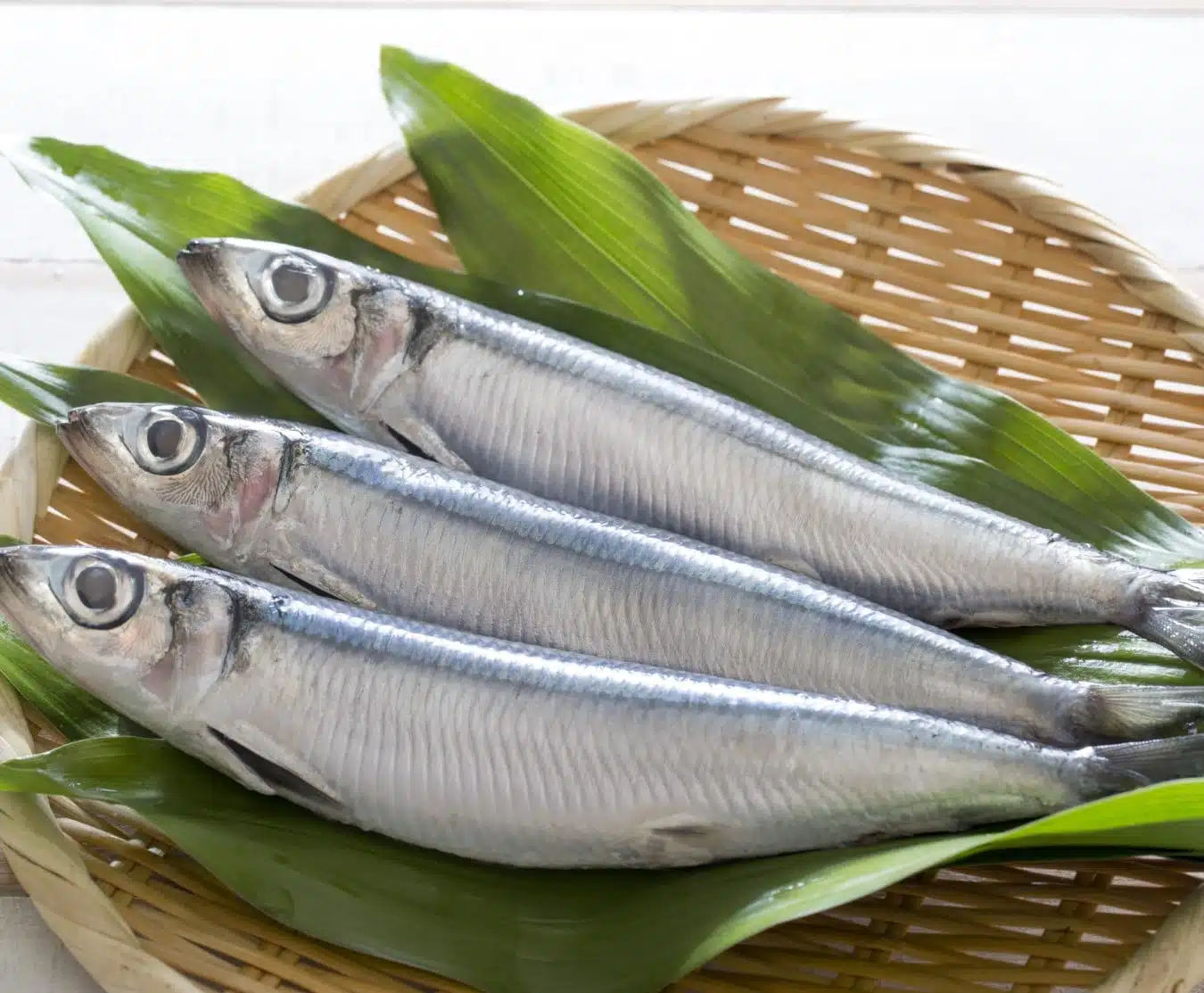 Herrings 7kg whole BOX.jpg