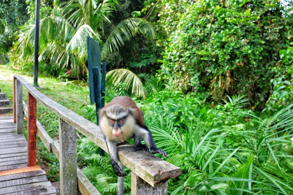 Lekki conservation centre