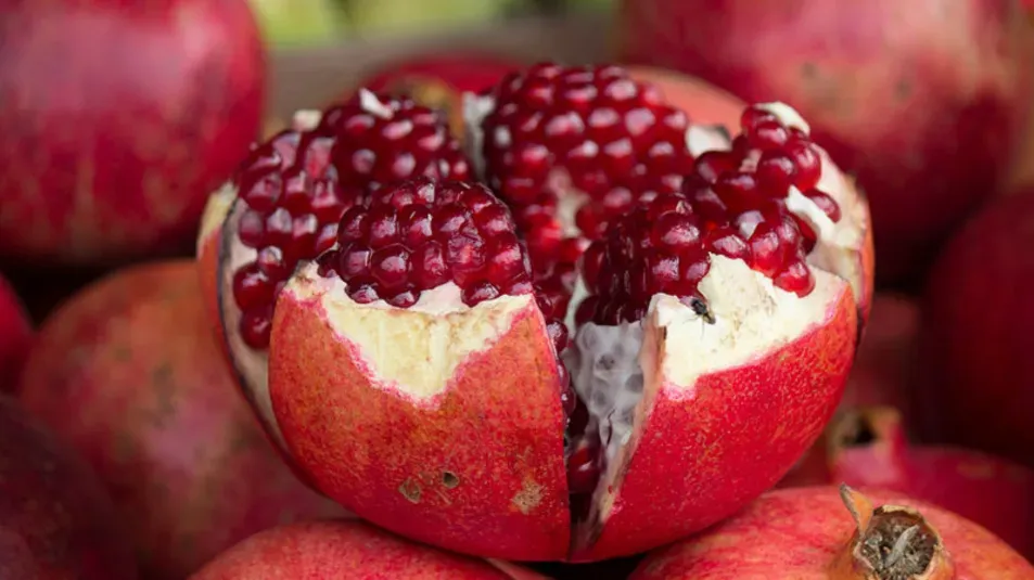 Pomegranate fruit.jpg
