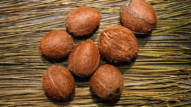 coconut
