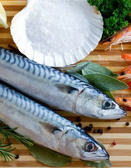 mackerel 1kg.jpg