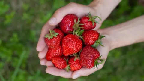 strawberry